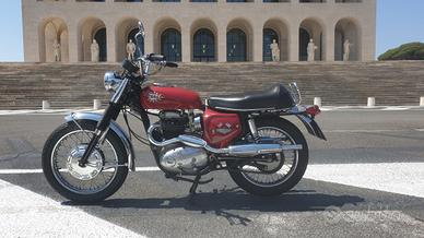 bsa firebird scrambler  1968