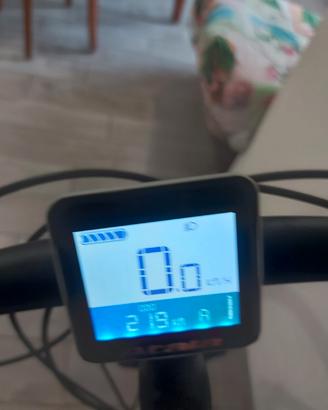 bici elettrica 