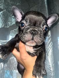 Nel Cerchio della Vita nascono i nuovi eredi