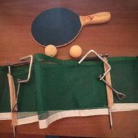 rete  regolamentare da ping pong