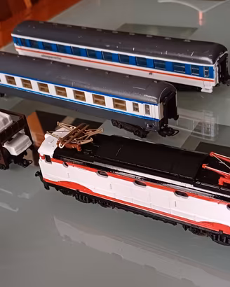trenino elettrico 