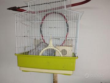 Gabbia uccellini