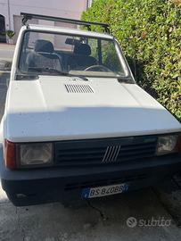 Fiat Panda young
