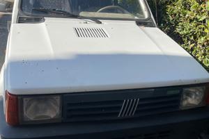 Fiat Panda young
