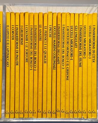 Libri