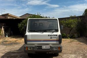 Antonelli Falcon