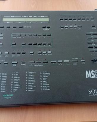 ARRANGER SOLTON MS3 MULTI SYNTHESIS USATO