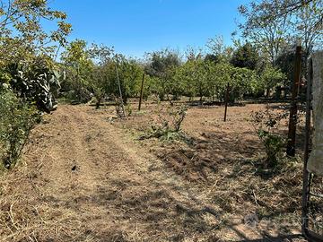 Terreno agricolo