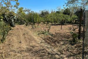 Terreno agricolo
