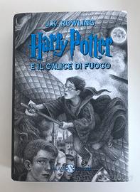 Harry Potter e il calice di fuoco Selznick