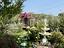 Immagine 29
