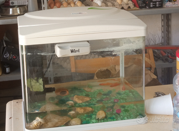 Acquario completo