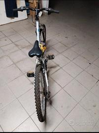 biciclette 