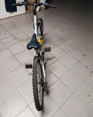 biciclette 