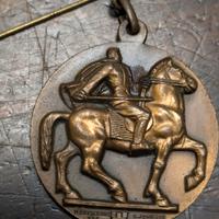 medaglia adunata nazionale combattenti 