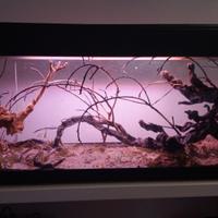 Acquario 100 litri 