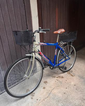 Bici Holland da uomo 28”