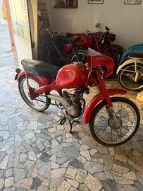 Motom Supersport 50