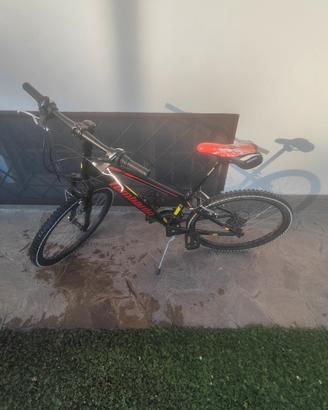 MTB lombardo tropea 24"