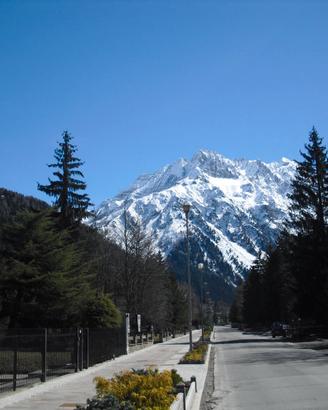 BILOCALE in Centro