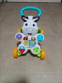 Primi Passi Zebra DLD91