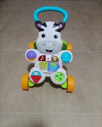 Primi Passi Zebra DLD91
