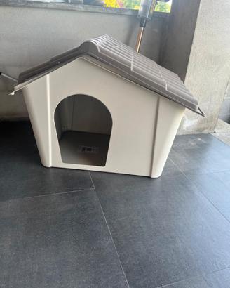 CUCCIA PER IL CANE MAI USATA