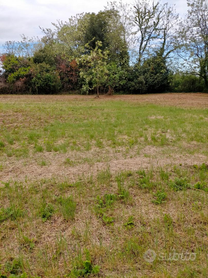 Terreno agricolo a Seregno - Vista 3
