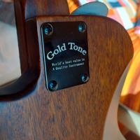 microbass Golden Tone 4 corde