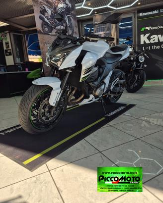 Kawasaki Z 800 FULL POWER