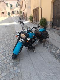 harley davidson HERITAGE FLST 2005 