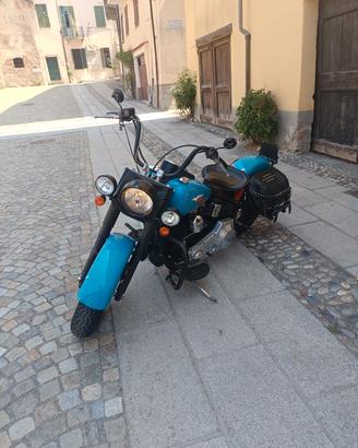 harley davidson HERITAGE FLST 2005 