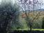 Immagine 14