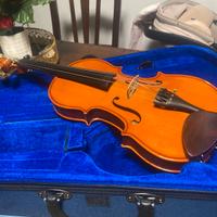 Violini 1domus 2stentor