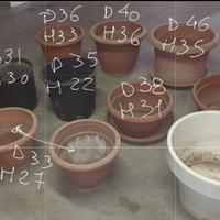 vasi  da giardino o terrazzo