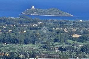 TER. AGRICOLO A VILLA SAN PIETRO