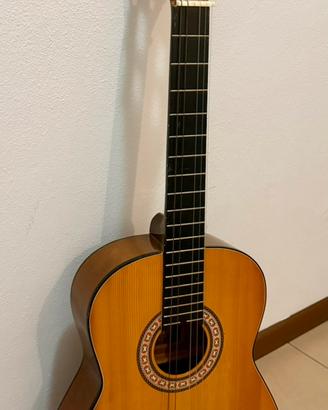 Chitarra Asahi c-392E