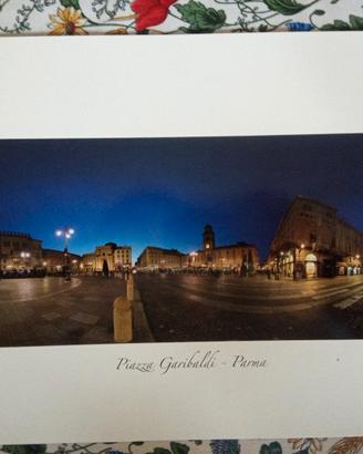 riproduzioni fotografiche città di Parma