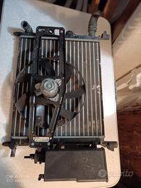 Radiatore Renault Twingo 
