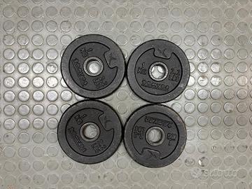 Dischi in ghisa palestra 1kg 28mm