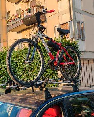 3 Bracci porta bici+2  barre  porta tutto