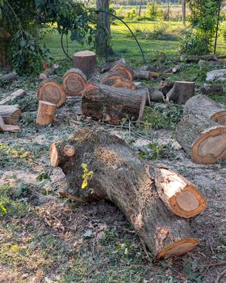Legna di ippocastano e quercia