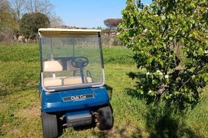Golf Cart Club Car Movincar - Perfetta per Tenute
