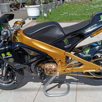 Polini 911 Dream bike