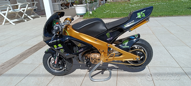 Polini 911 Dream bike