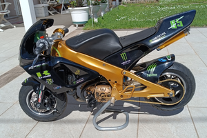 Polini 911 Dream bike