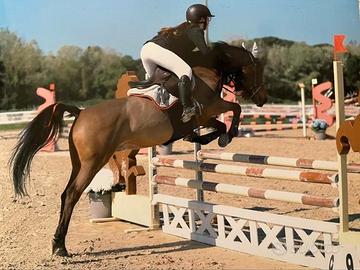 DOPPIO PONY