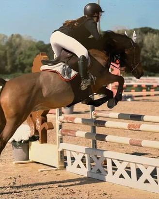 DOPPIO PONY