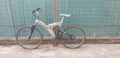 Mountain Bike Down Hill