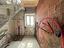 Immagine 9